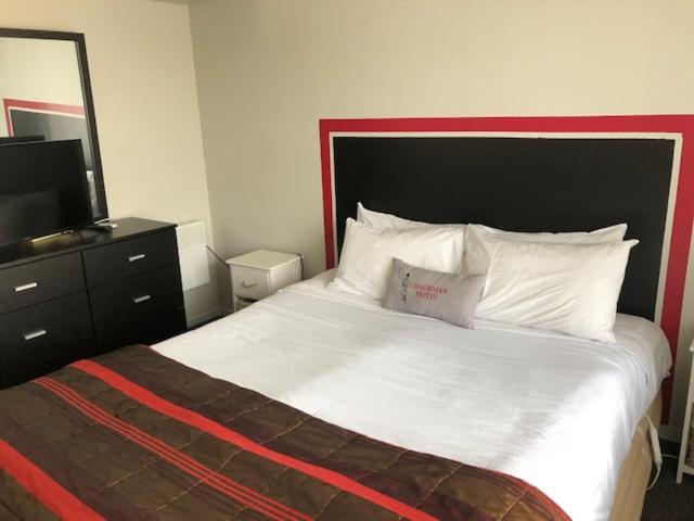 Coachman Motel Christchurch Ngoại thất bức ảnh